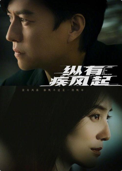 国产在线乱,揭秘国内网络乱象背后的真相与挑战