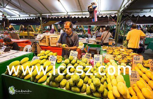 国产三级 第2页